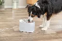 PHO_PRO_DOG_24483-1_#SALL_#AWK_#V1.webp