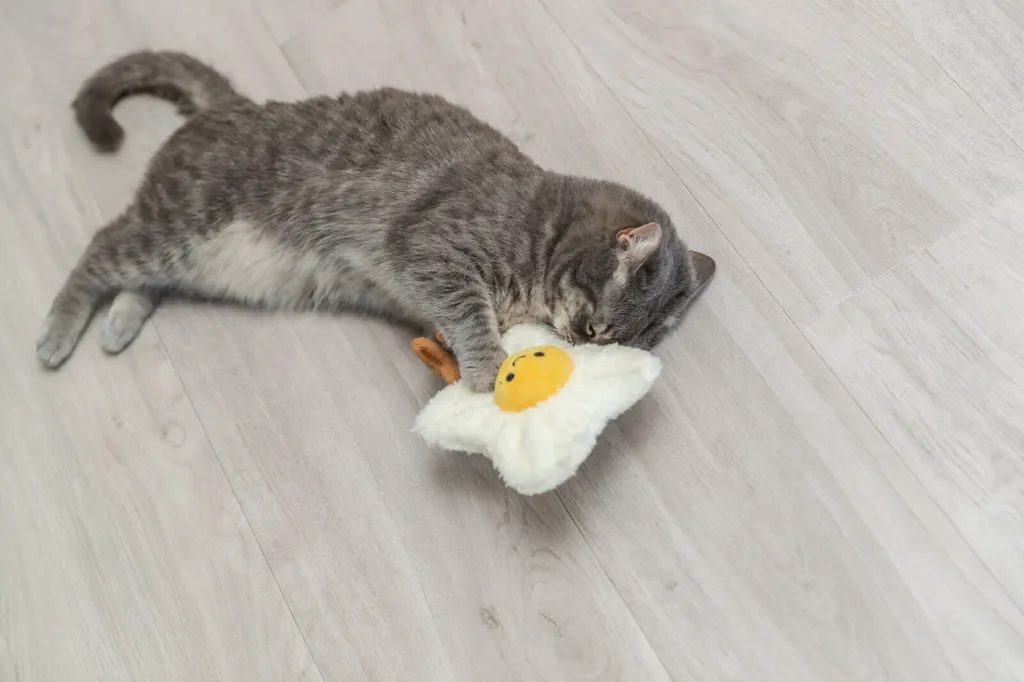 PHO_PRO_CAT_45640-6_#SALL_#AWK_#V1.webp