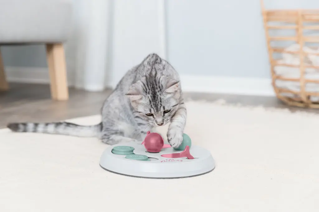 PHO_PRO_CAT_45892-10_#SALL_#AWK_#V1.webp