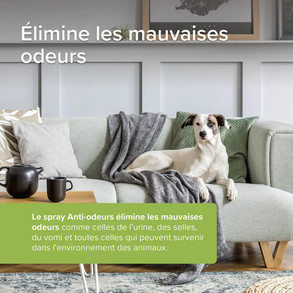 12230_Ecommerce_Odour_Remover_FR_20255.webp