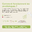 12230_Ecommerce_Odour_Remover_FR_20253.webp