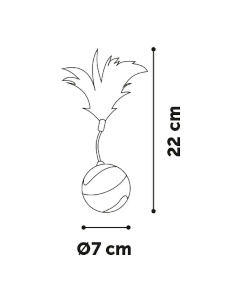 Copie de Copie de Publications (33).webp