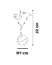 Copie de Copie de Publications (33).webp