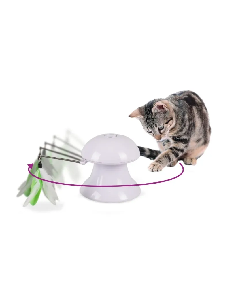 Copie de Copie de Publications (35).webp
