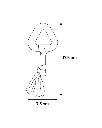 Copie de Copie de Publications (40).webp