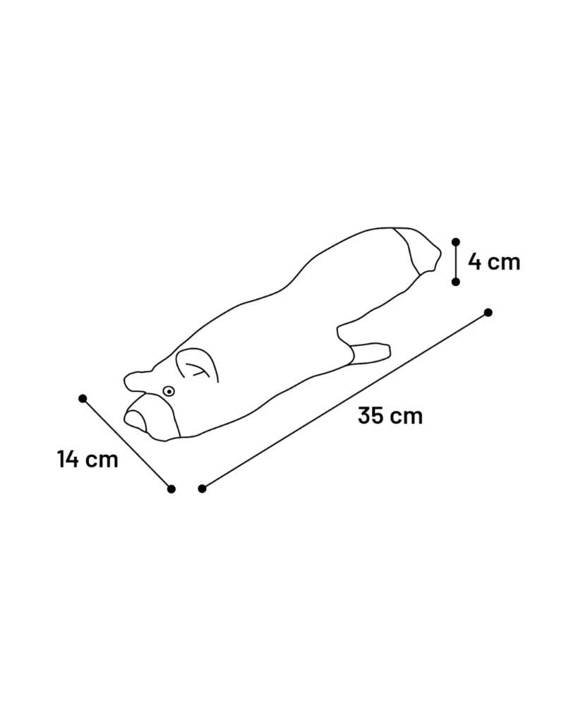 Copie de Copie de Publications (68).webp
