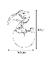 Copie de Copie de Publications (75).webp