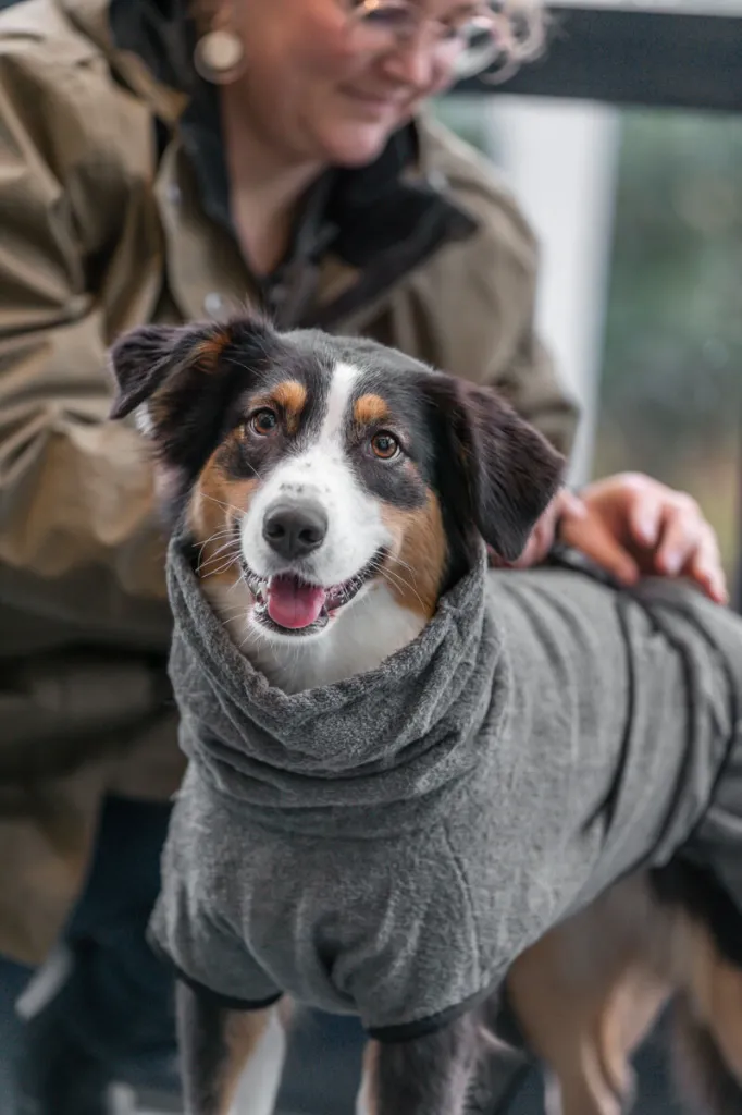 PHO_PRO_DOG_23571-7_#SALL_#AWK_#V1.webp