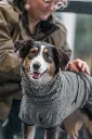 PHO_PRO_DOG_23571-7_#SALL_#AWK_#V1.webp