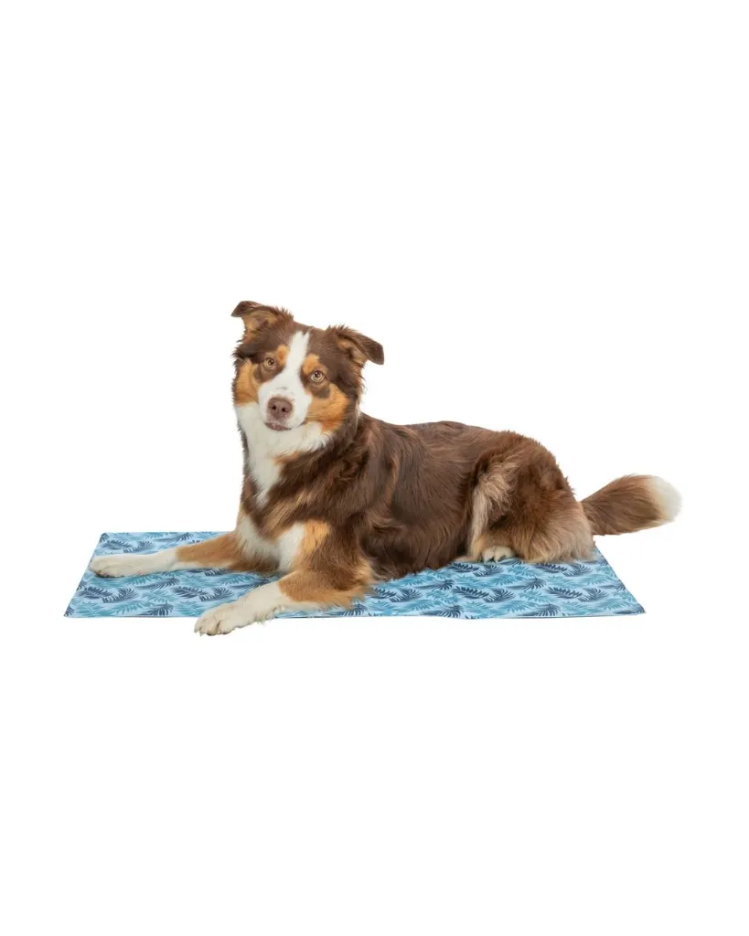 Produit - 2026-07-20T095911.299.webp