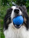 Balle kiwi walker let's play !