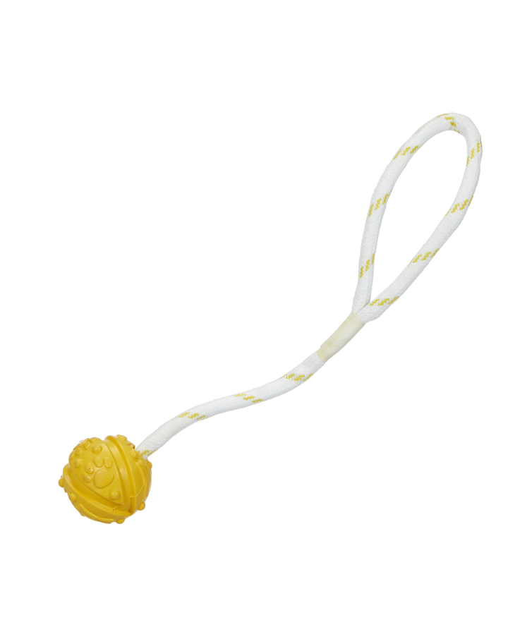Balle sur corde aquatique