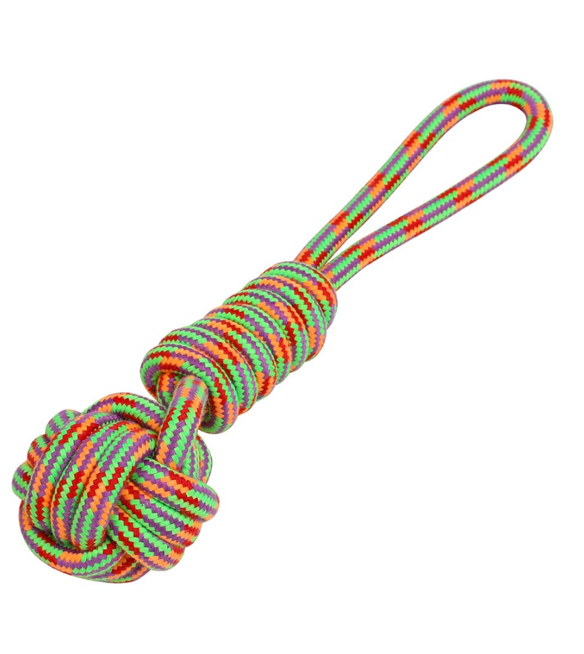 Corde pour chien "Nœud Driss"