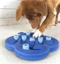 Dog Hide N Slide Composite
