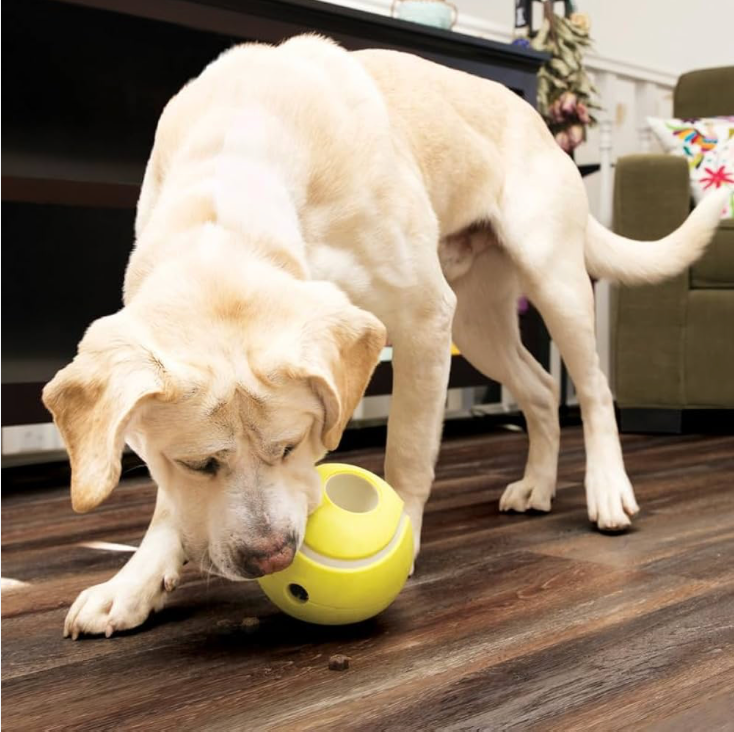Jouet Chien Rewards Tennis (taille S) - Kong