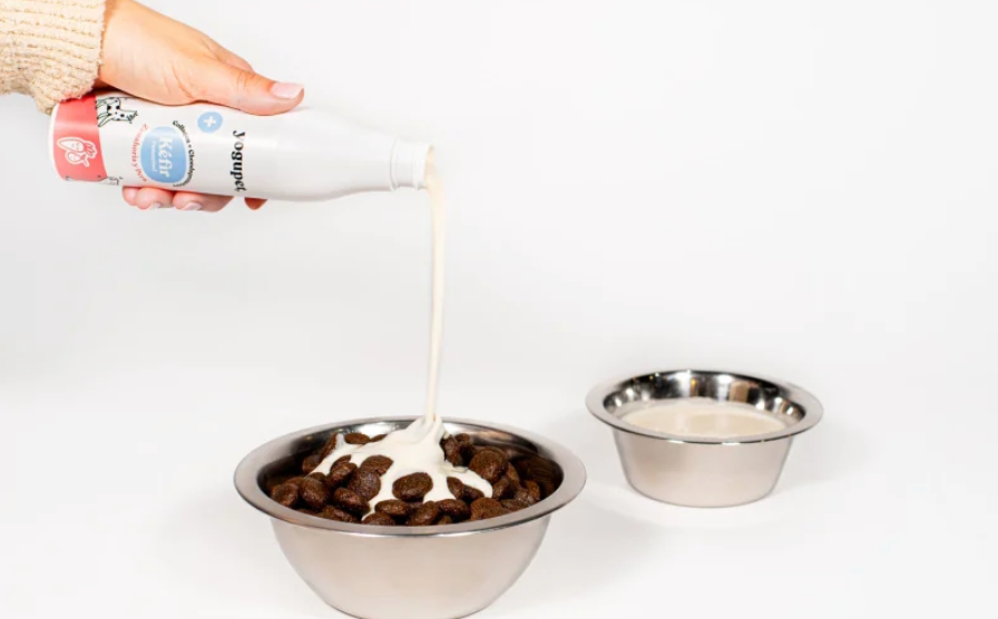 Kéfir de carotte et poire pour chien (200 ml) - Yogupet