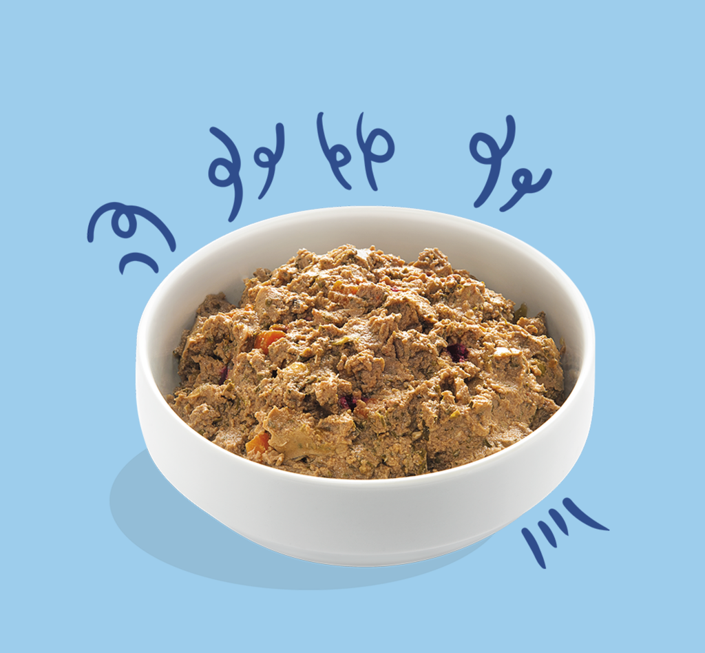 Barquette "Alléchants Saumon & Dinde" (150 g) - Edgard & Cooper