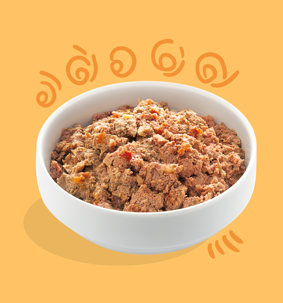 Barquette au poulet et dinde sans céréales (150 g) - Edgard & Cooper