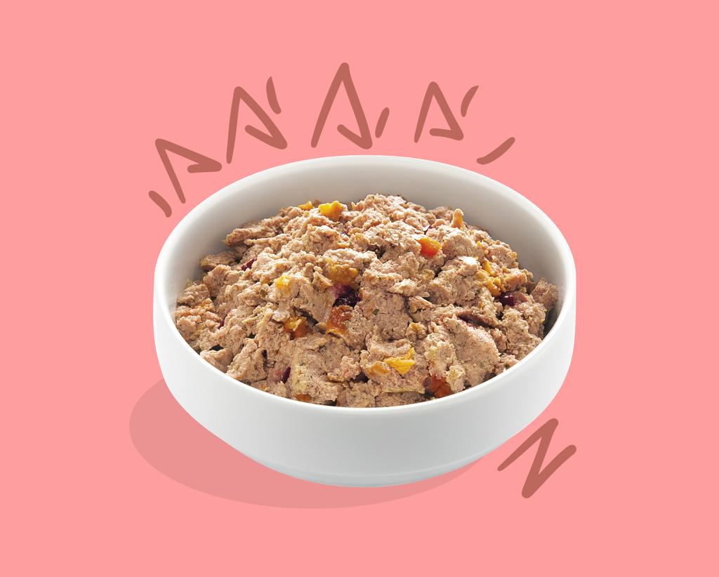 Barquette pour chien senior "Appétissants poulet & saumon" sans céréales (150 g) - Edgard & Cooper