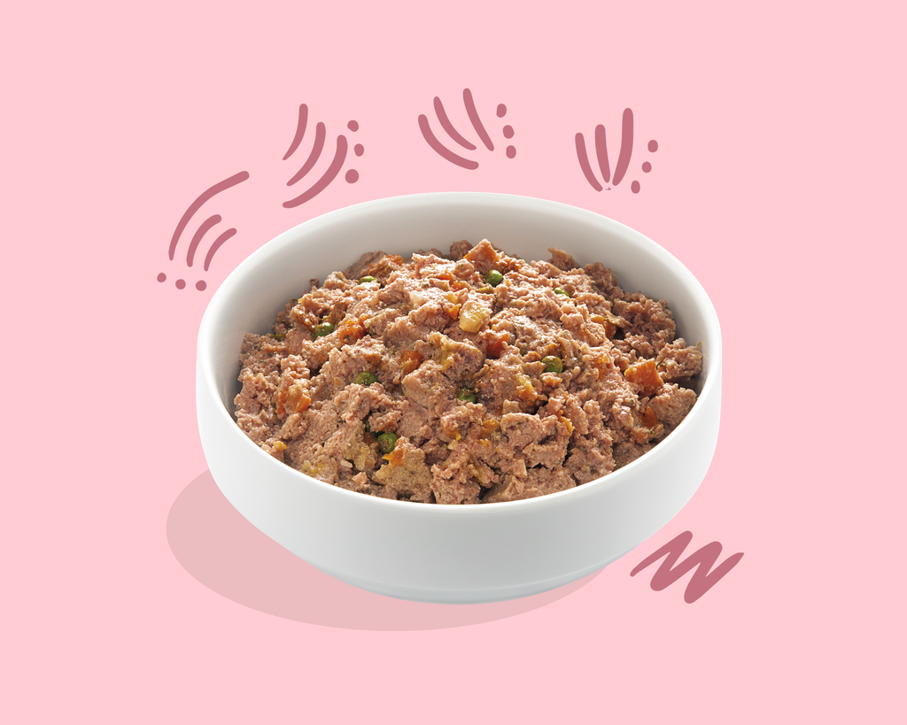 Barquette pour chiot au canard et poulet sans céréales (150 g) - Edgard & Cooper