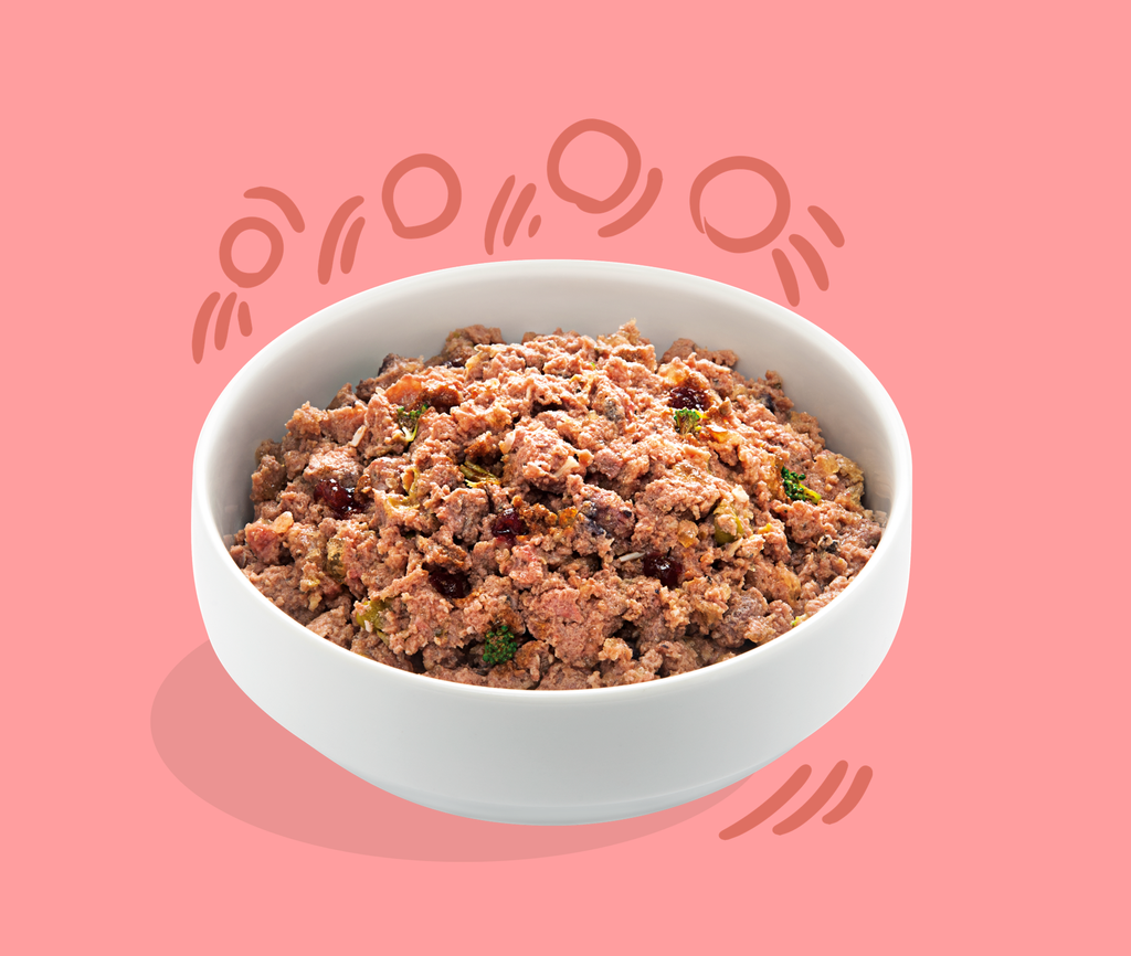 Boîte pour chien senior "Appétissants poulet & saumon" sans céréales (400 g) - Edgard & Cooper