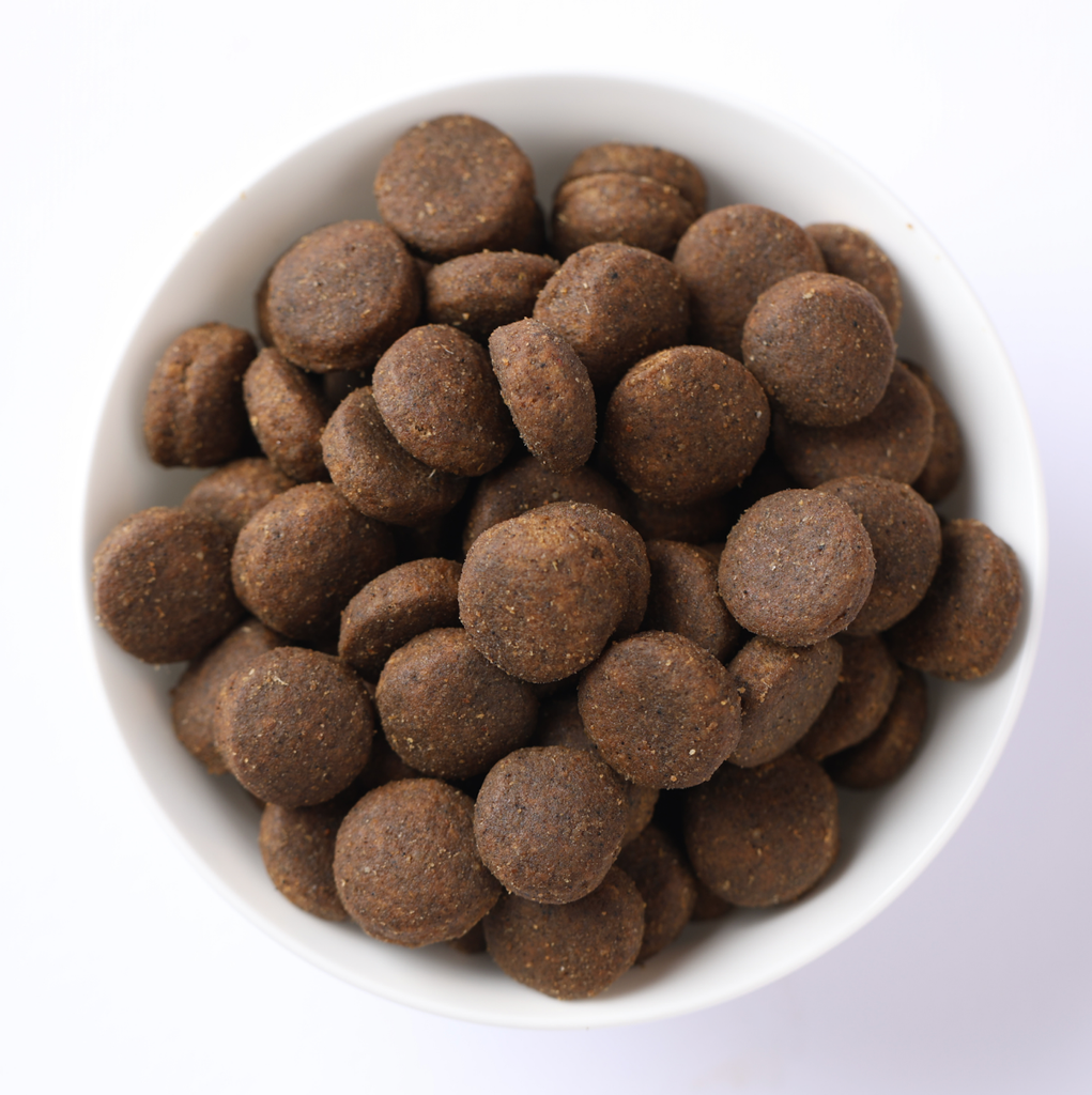 Poulet & Grenade Ancestral Grain chien adulte medium & maxi (12 kg) - Farmina