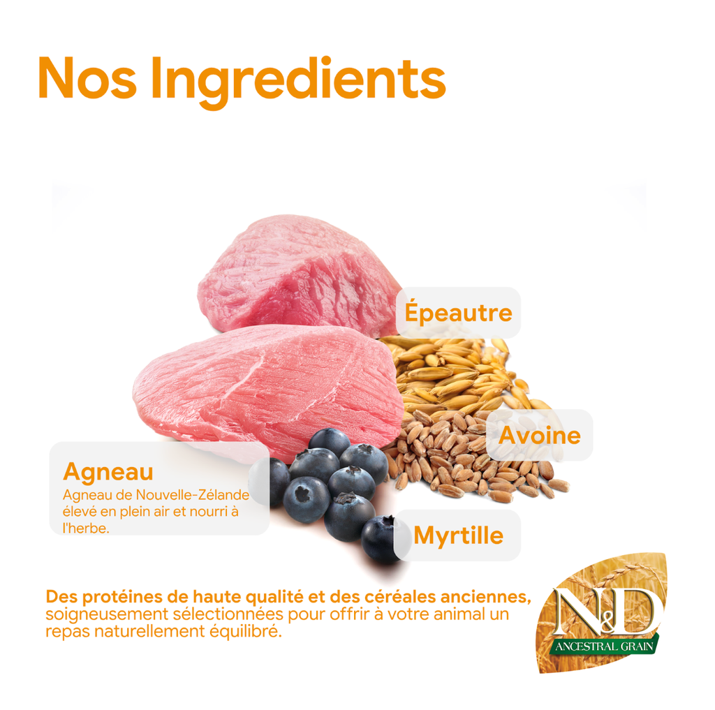 Agneau & Myrtille Ancestral Grain chien medium & maxi (12 kg) - Farmina