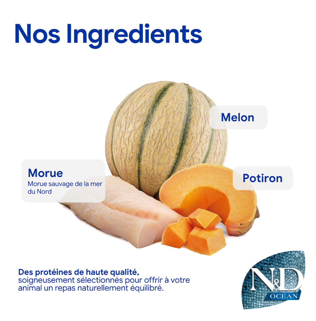 Océan Morue, Potiron & Orange Chien Mini (2.5 kg) - Farmina