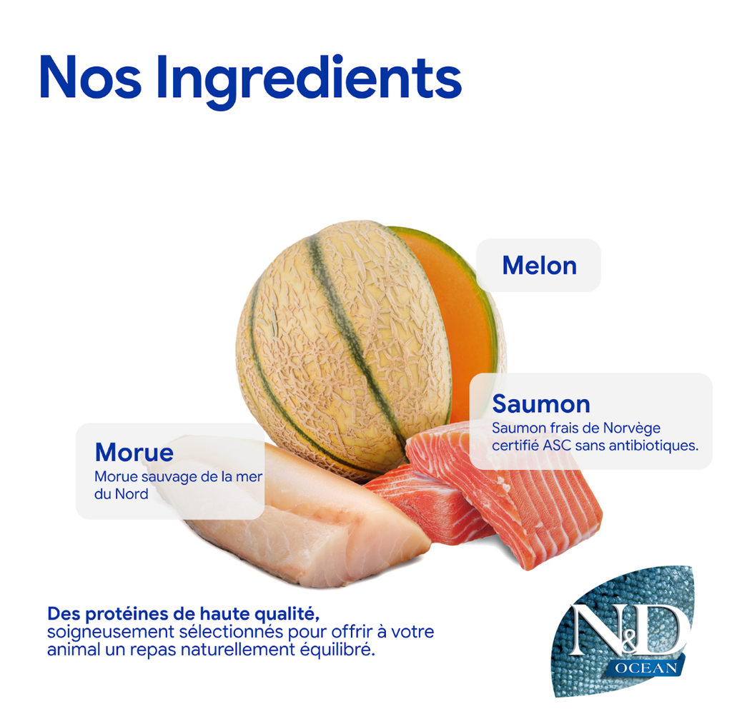 Océan Saumon Morue & Melon Chien adulte Mini (7 kg) - Farmina