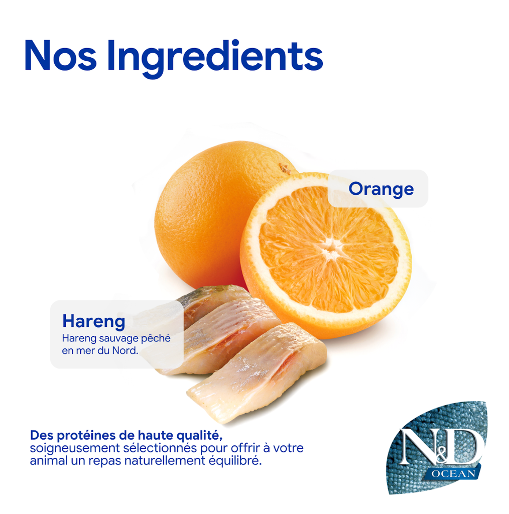Océan Hareng & Orange Chat Stérilisé (1.5 kg) - Farmina