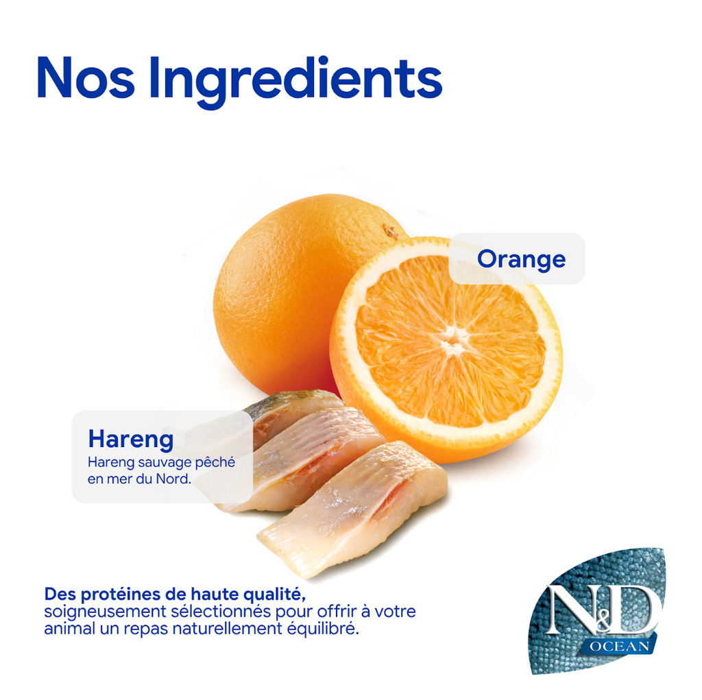 Océan Hareng & Orange Chat Stérilisé (5 kg) - Farmina
