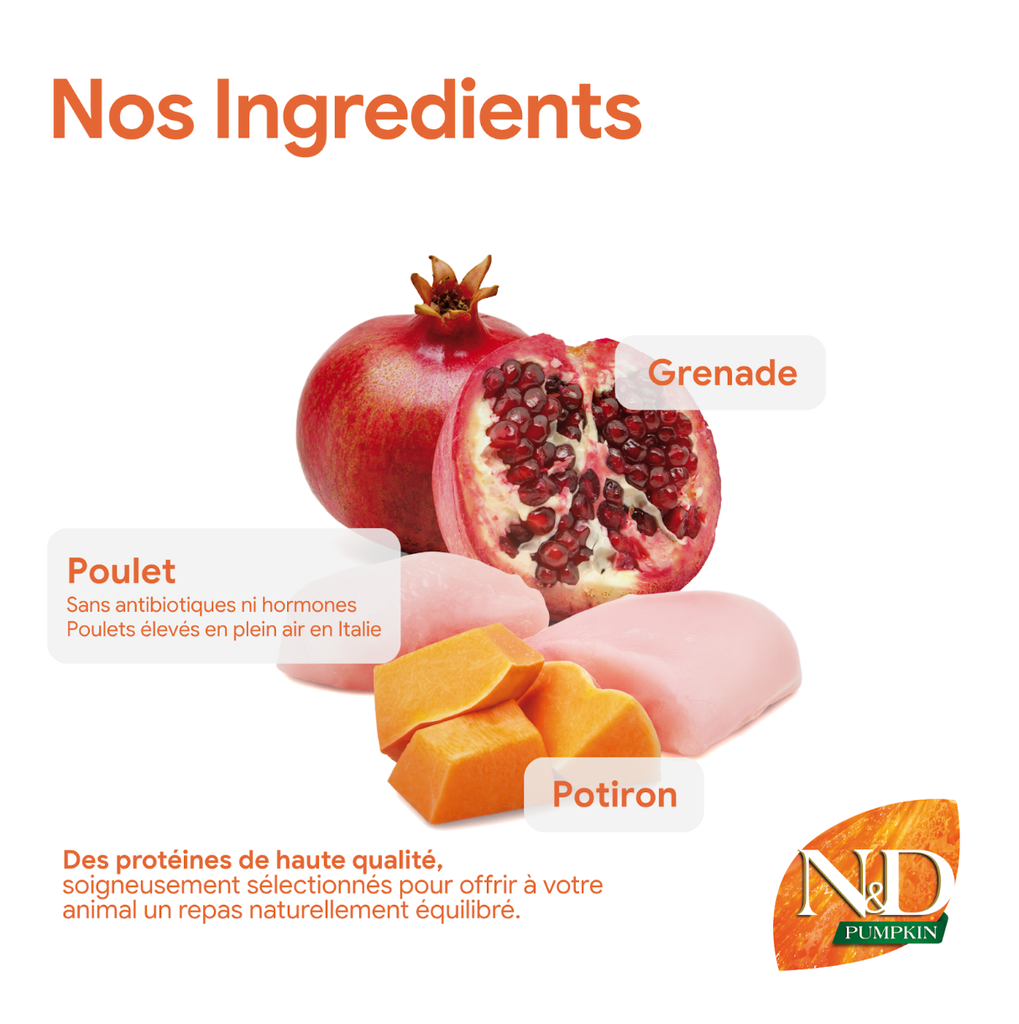 Potiron, poulet & grenade Chiot Medium & Maxi (12 kg) - Farmina