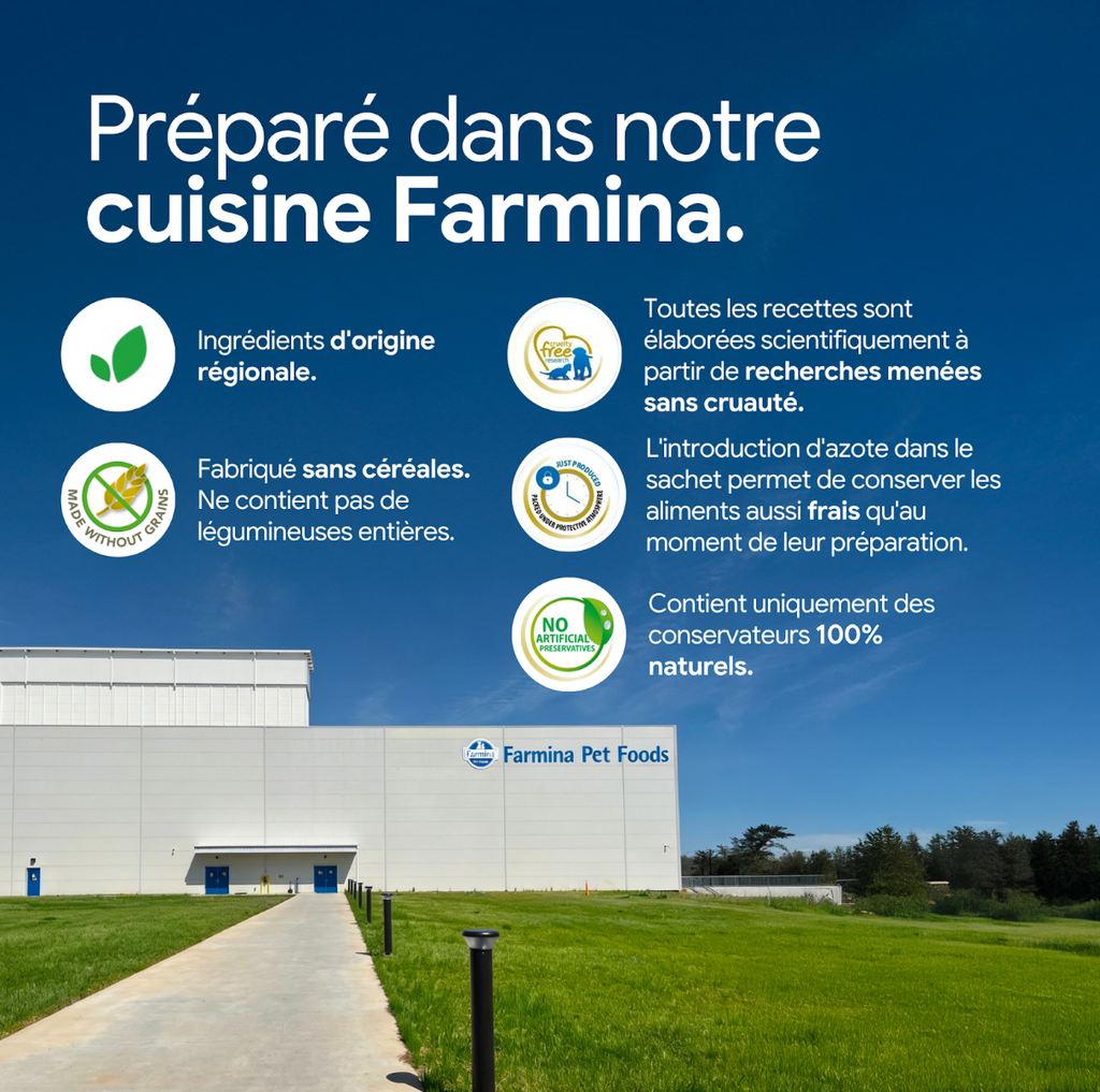 Quinoa chat Weight Management Lamb (Contrôle du Poids Agneau) (5 kg) - Farmina
