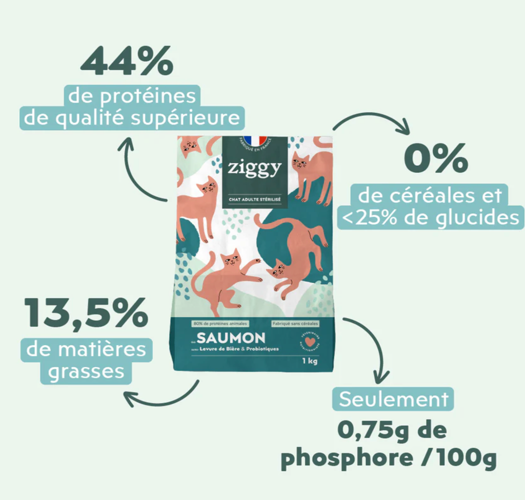 Croquettes Chat Adulte Stérilisé - Saumon (2.5 kg) - Ziggy
