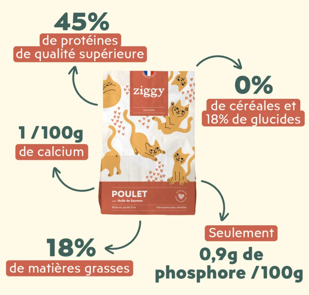 Croquettes Chaton - Poulet (1 kg) - Ziggy