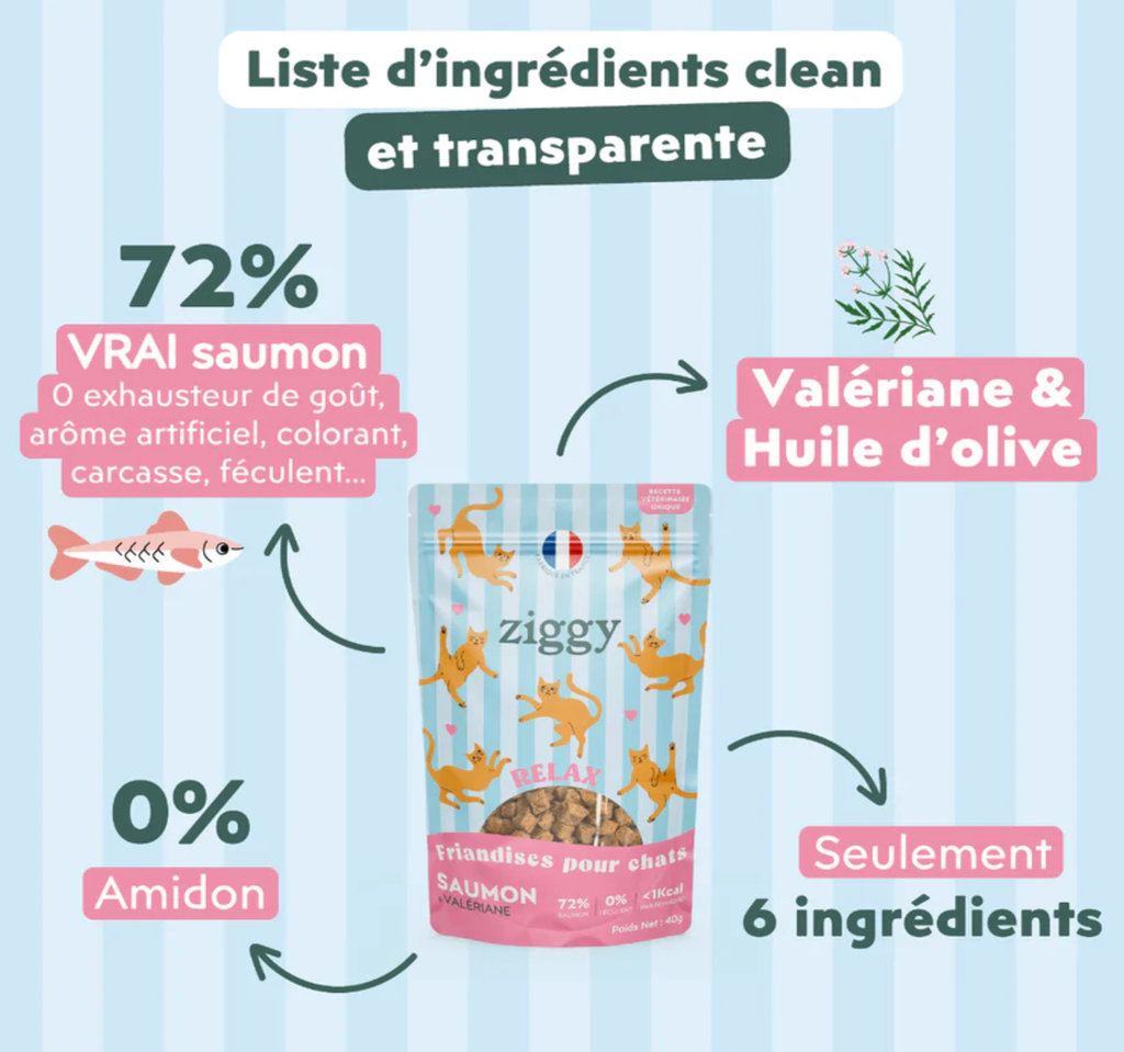 Friandises chat RELAX Saumon & Valériane (40 g) - Ziggy