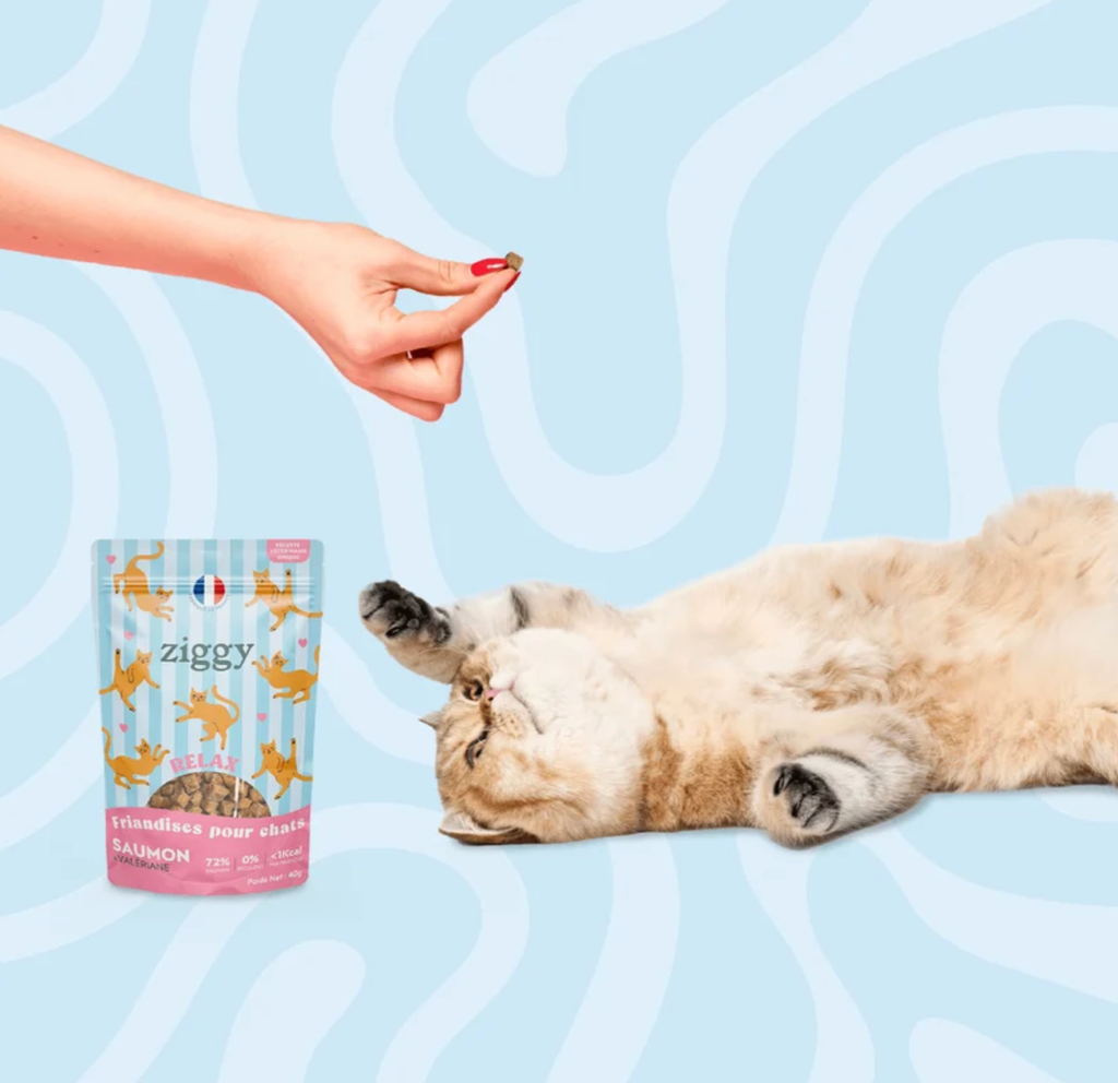 Friandises chat RELAX Saumon & Valériane (40 g) - Ziggy