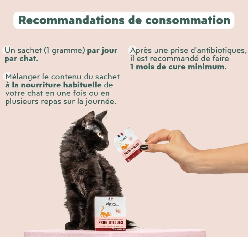 Probiotiques (30 sachets 1 g) - Ziggy