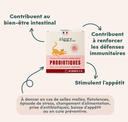 Probiotiques (30 sachets 1 g) - Ziggy