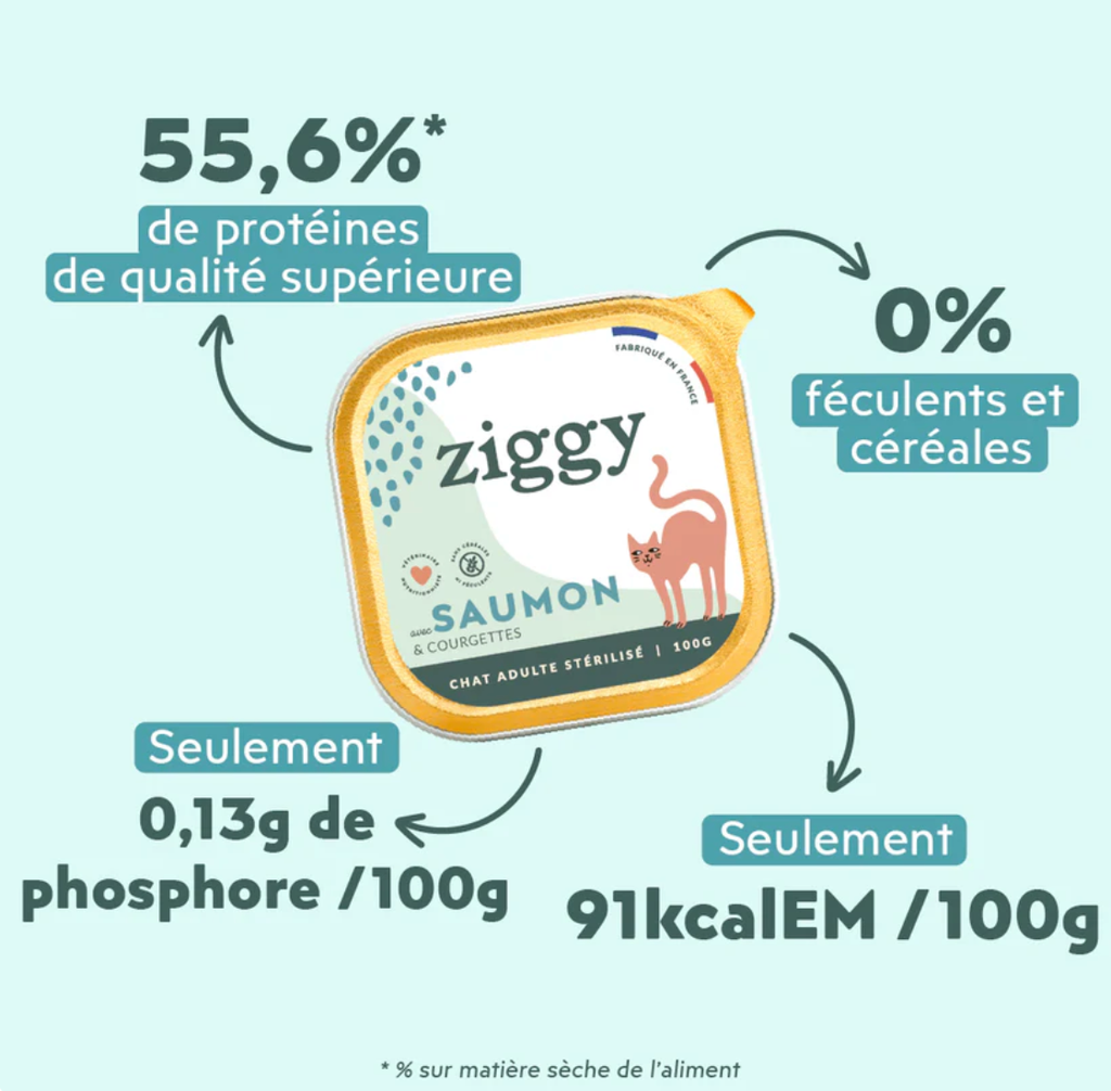 Pâtée Complète Chat Adulte Stérilisé - Saumon (4 barquettes 100 g) - Ziggy