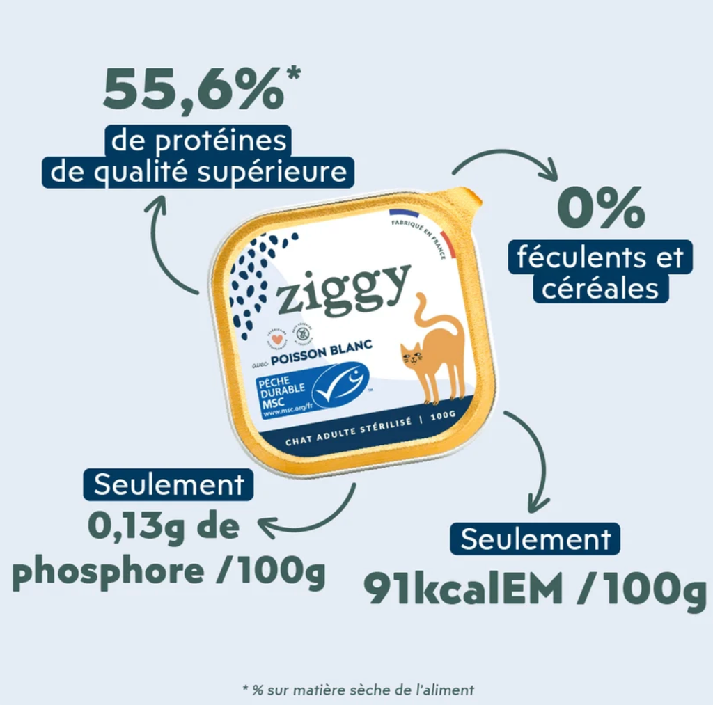 Pâtée Complète Chat Adulte Stérilisé - Poisson Blanc (4 barquettes 100 g) - Ziggy