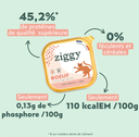 Pâtée Complète Chat Adulte - Boeuf (4 barquettes 100 g) - Ziggy