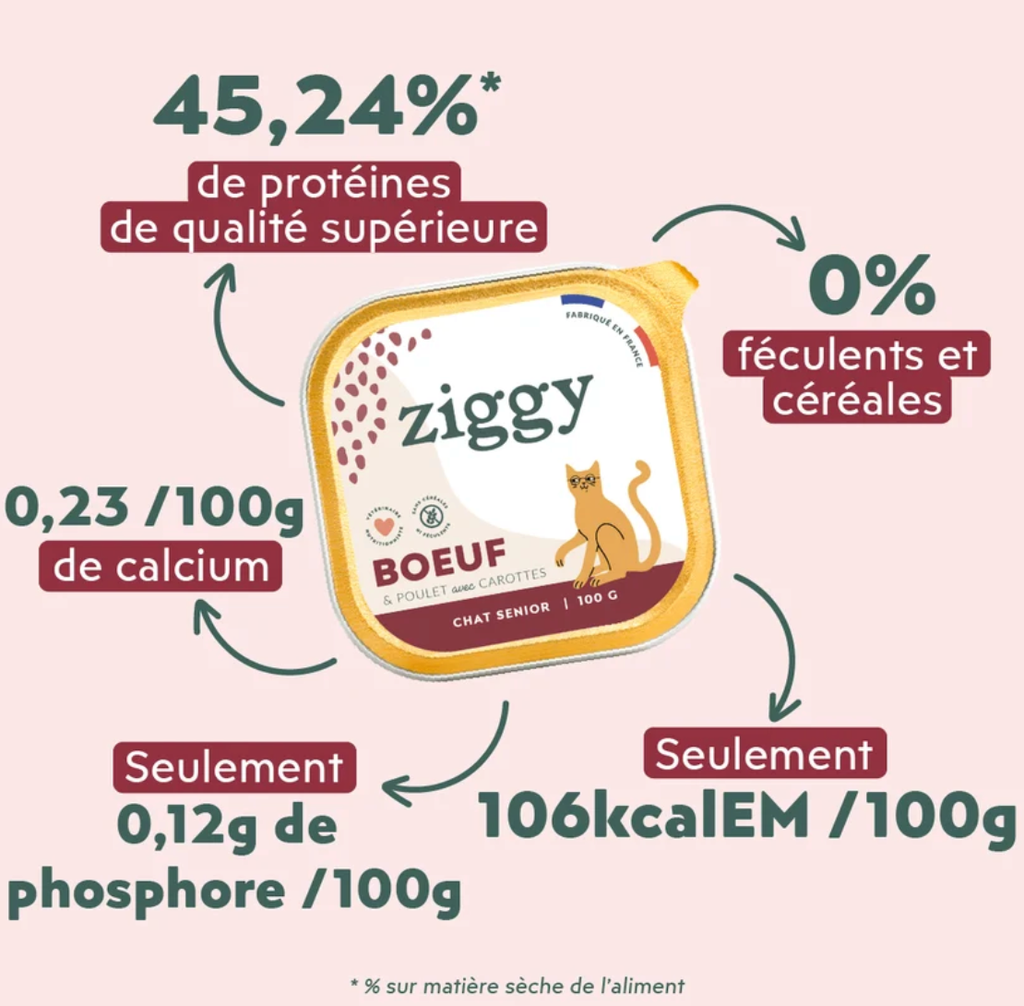 Pâtée Complète Chat Senior - Boeuf (4 barquettes 100 g) - Ziggy