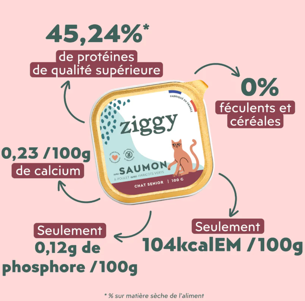 Pâtée Complète Chat Senior - Saumon (4 barquettes 100 g) - Ziggy