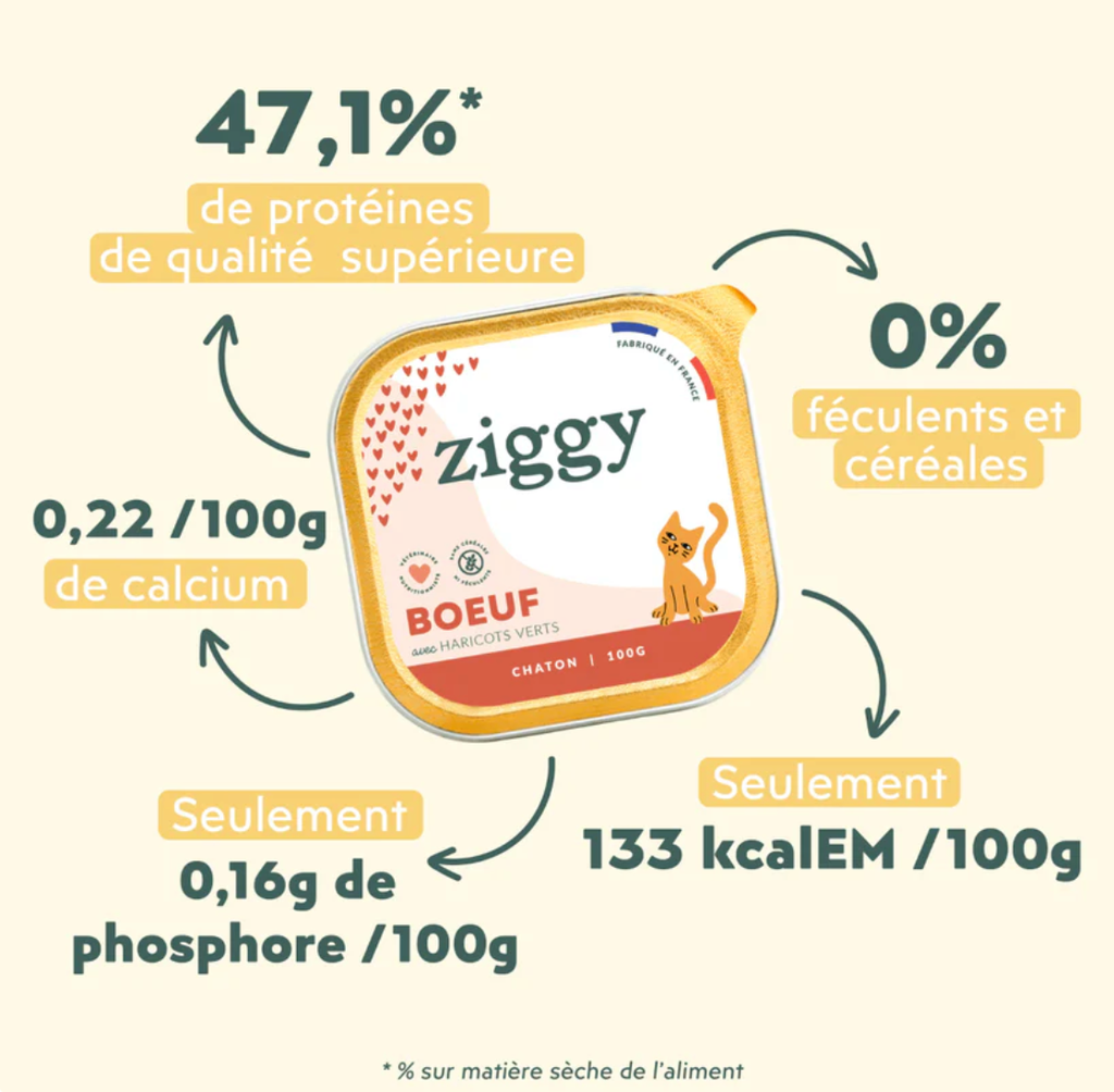 Pâtée Complète Chaton - Boeuf (4 barquettes 100 g) - Ziggy