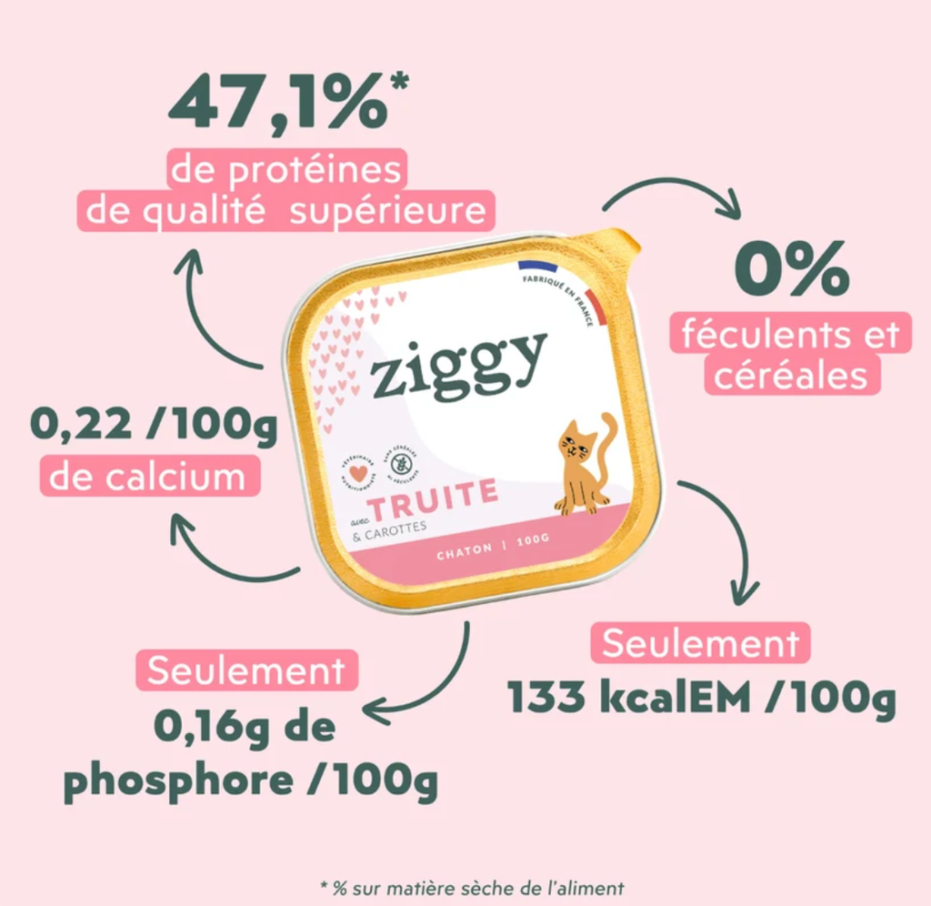 Pâtée Complète Chaton - Truite (4 barquettes 100 g) - Ziggy