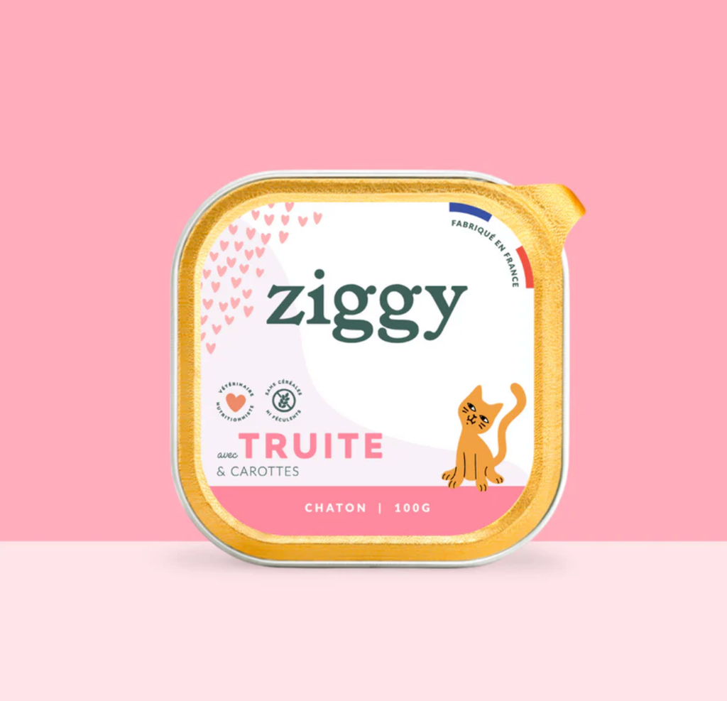 Pâtée Complète Chaton - Truite (4 barquettes 100 g) - Ziggy