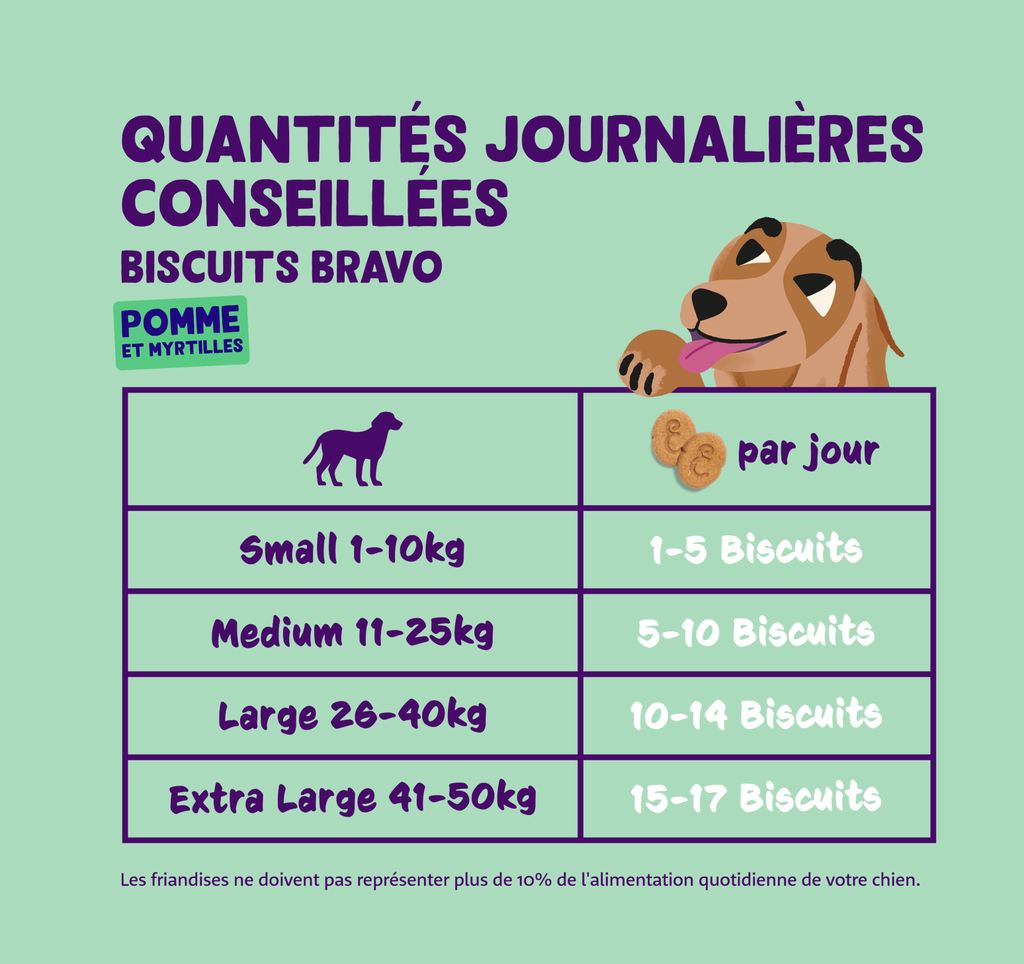 Biscuits Pomme/Myrtille (400 g) - Edgard & Cooper