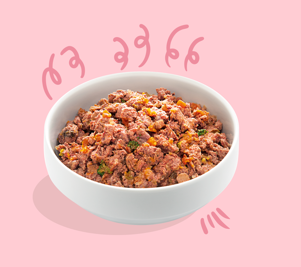 Boîte pour chiot "Fabuleux canard & poulet" sans céréales (400 g) - Edgard & Cooper