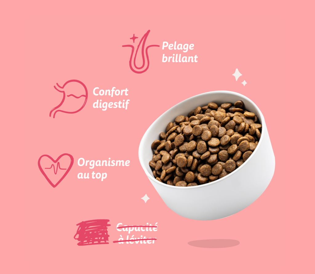 Croquettes bio "Merveilleux boeuf & poulet" (7 kg) - Edgard & Cooper